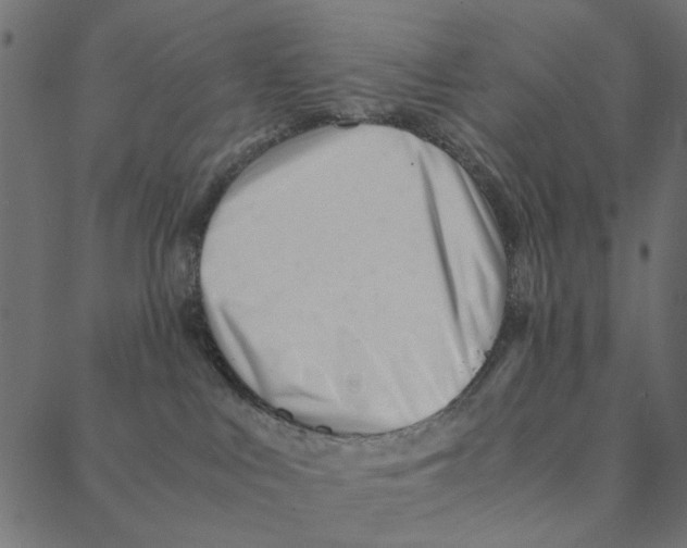 X0000087390043200705181318