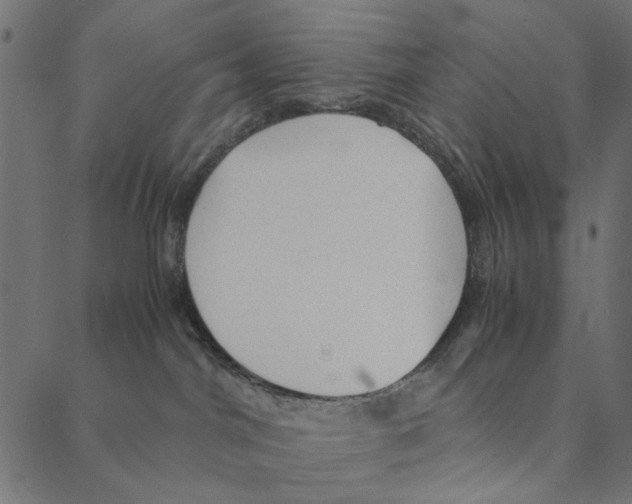 X0000087390044200705181318