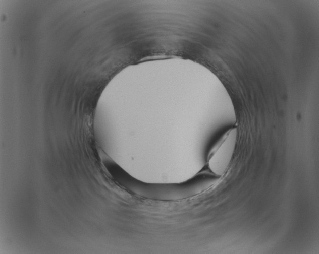 X0000087390045200705181318