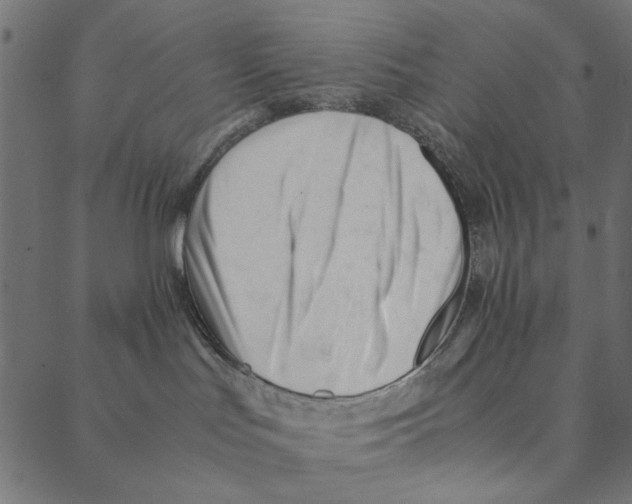 X0000087390047200705181318