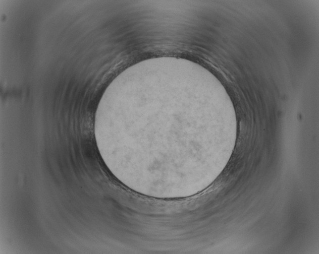 X0000087390048200705181318