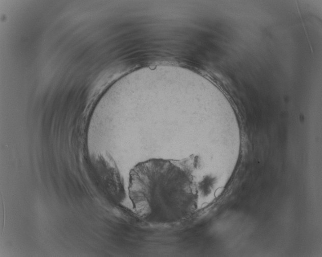 X0000087390049200705181317