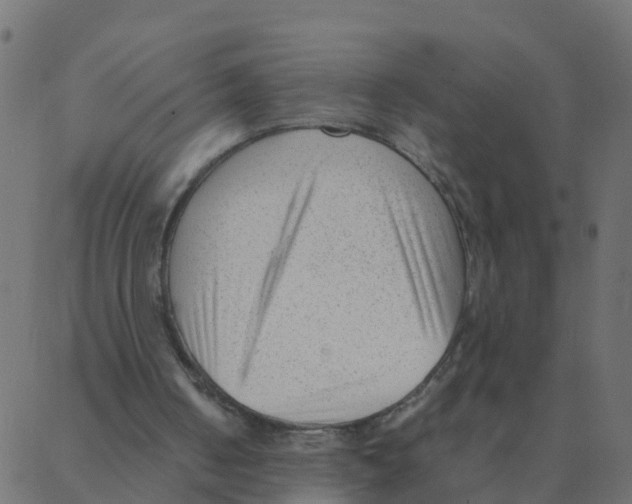 X0000087390050200705181317