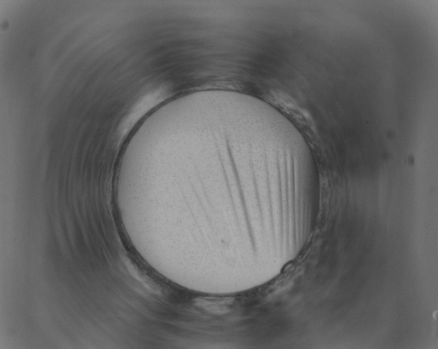 X0000087390051200705181317