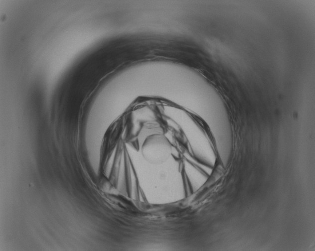 X0000087390052200705181317