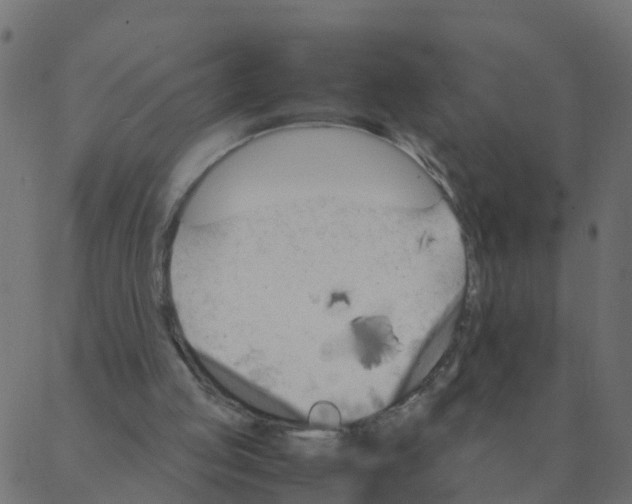 X0000087390053200705181317