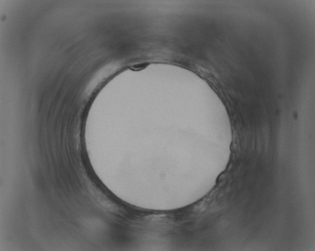 X0000087390054200705181317