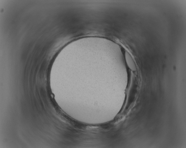 X0000087390055200705181317