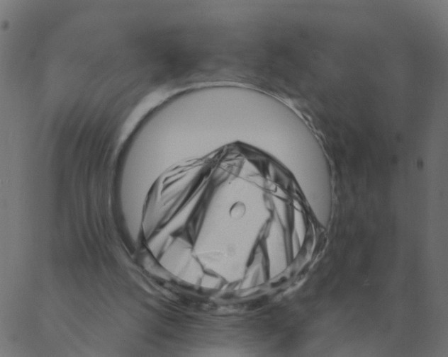 X0000087390056200705181317