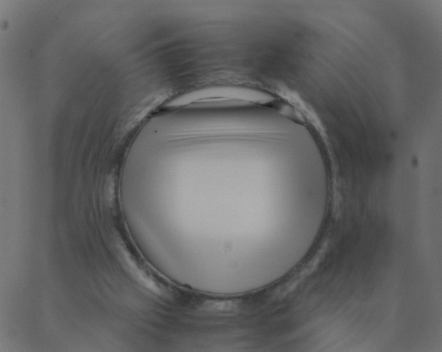 X0000087390057200705181317