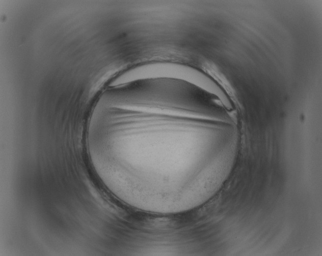 X0000087390058200705181317