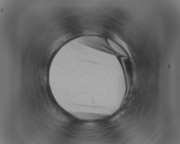 X0000087390059200705181317