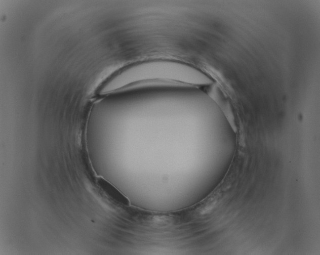 X0000087390060200705181317