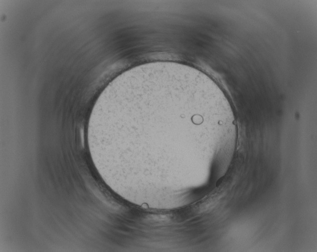 X0000087390061200705181317