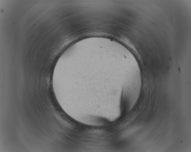 X0000087390063200705181317