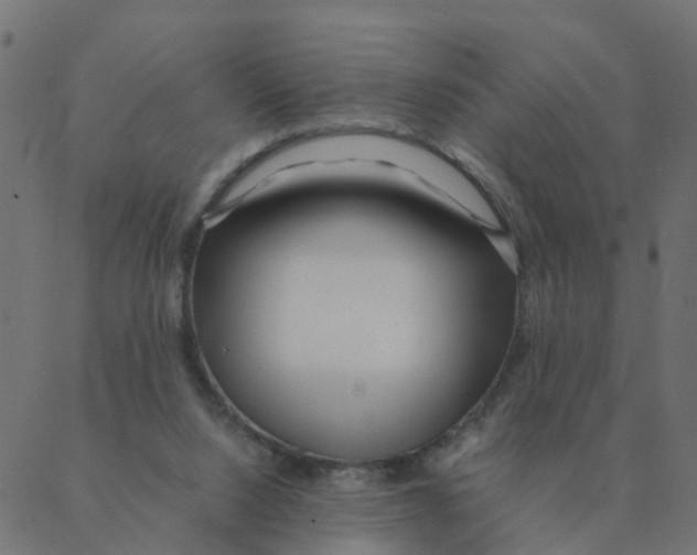 X0000087390064200705181317