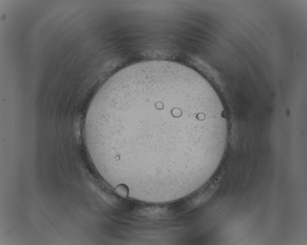 X0000087390065200705181318