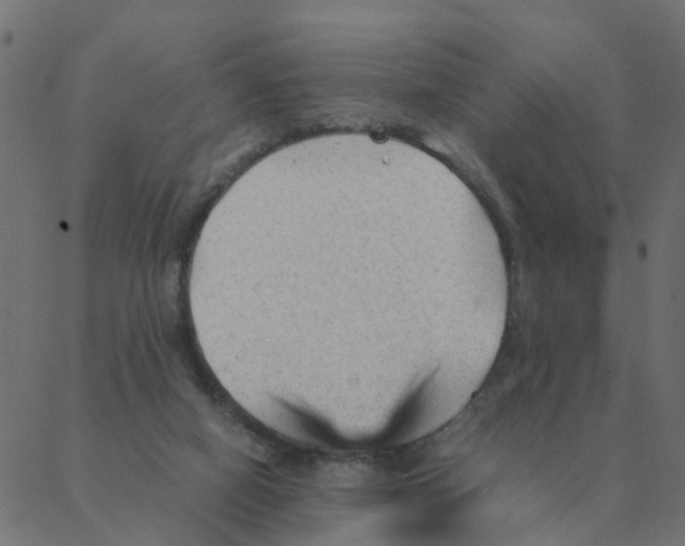 X0000087390066200705181318