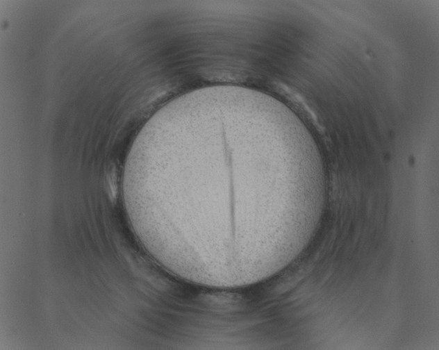 X0000087390069200705181318