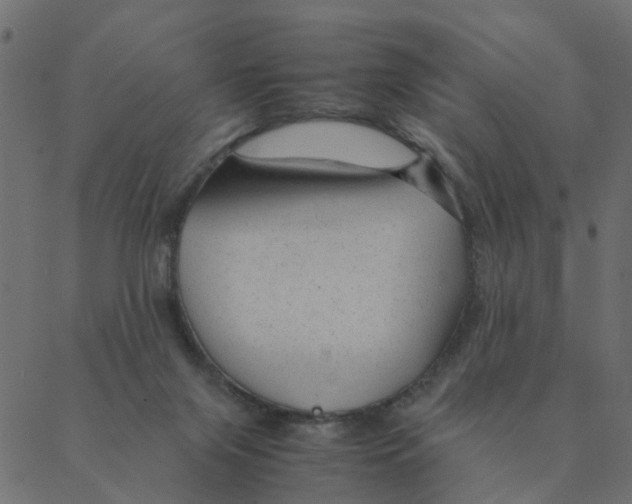 X0000087390071200705181318