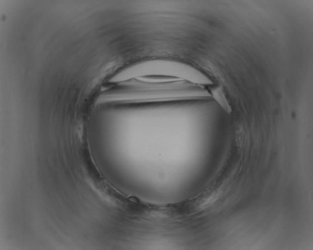 X0000087390072200705181318