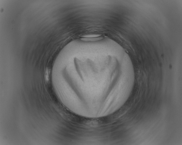 X0000087390075200705181318