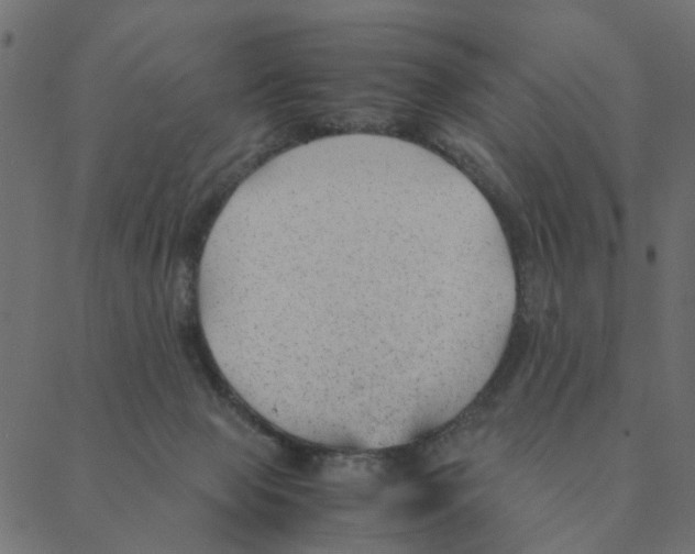 X0000087390077200705181318