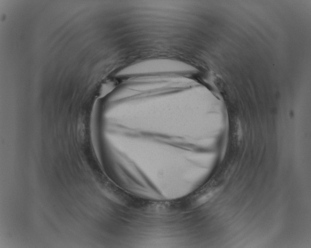 X0000087390080200705181318