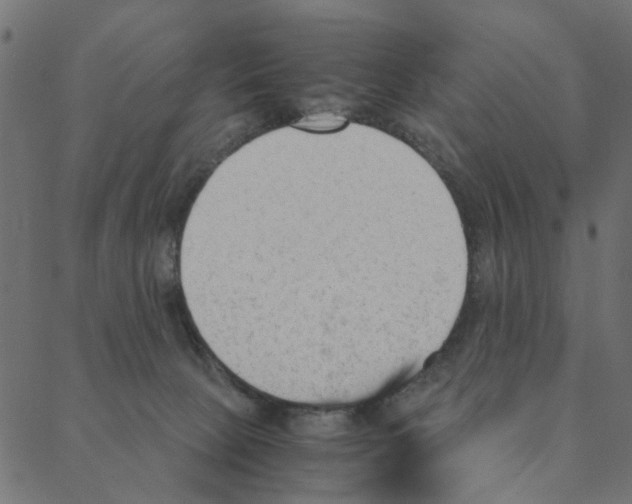 X0000087390081200705181318