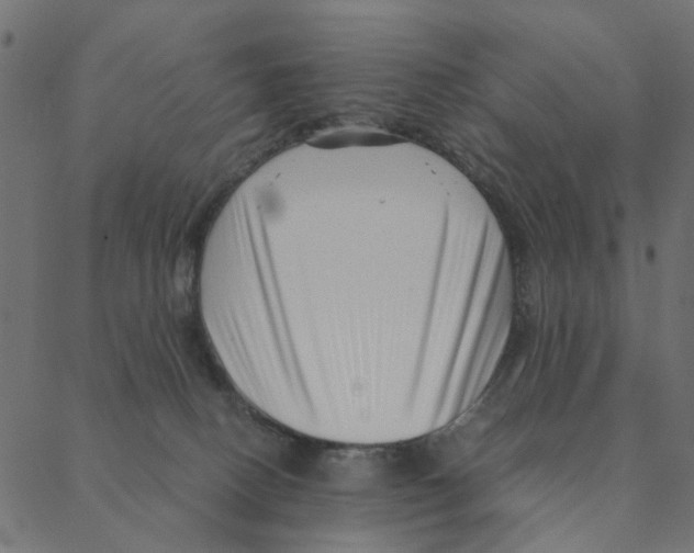 X0000087390082200705181318