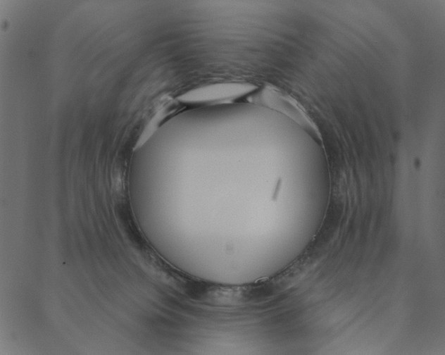 X0000087390084200705181318