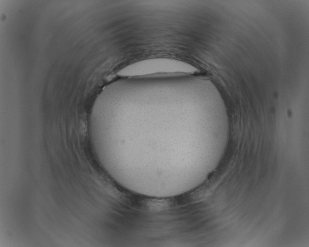 X0000087390085200705181318