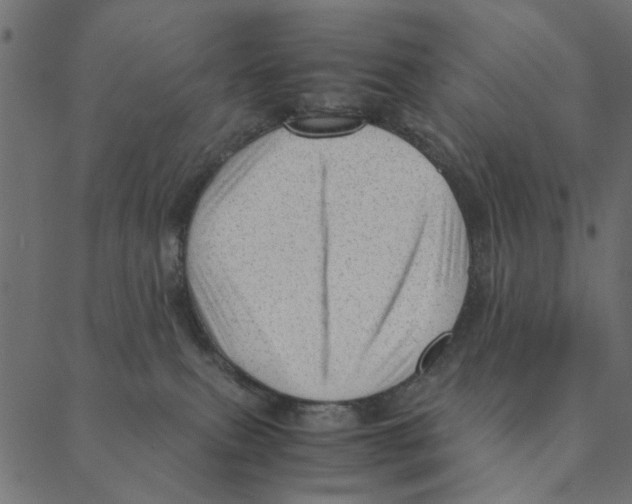 X0000087390087200705181318