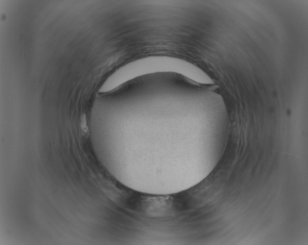 X0000087390089200705181318