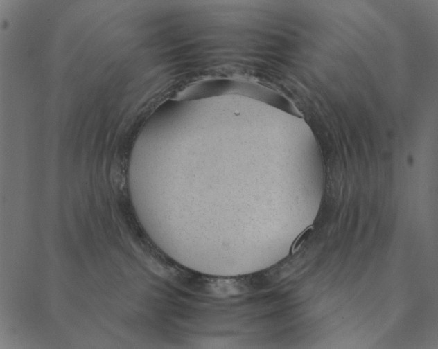 X0000087390091200705181318