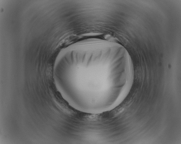 X0000087390092200705181318