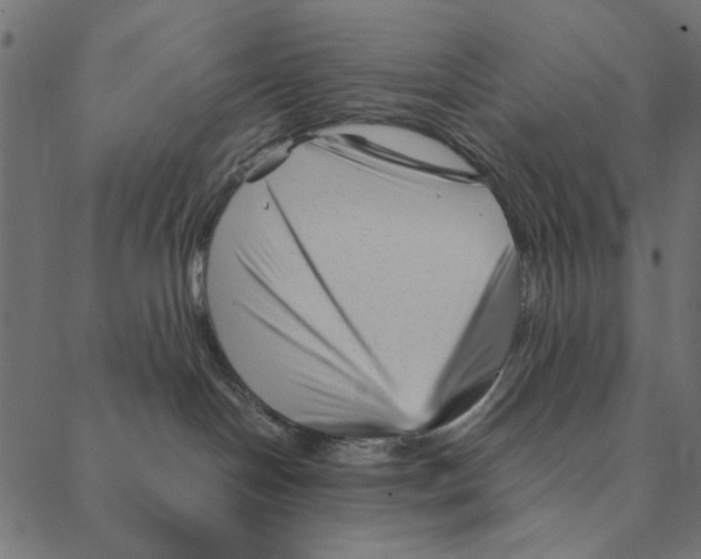 X0000087390094200705181318