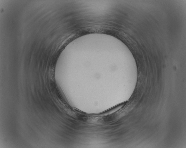 X0000087390096200705181318