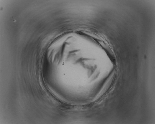 X0000087390097200705181317