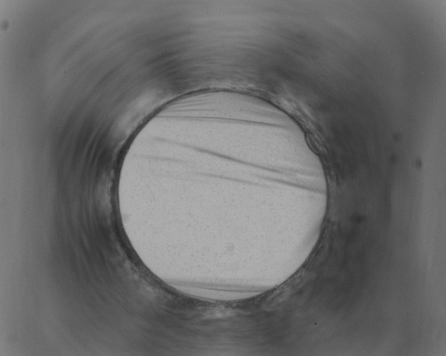 X0000087390098200705181317