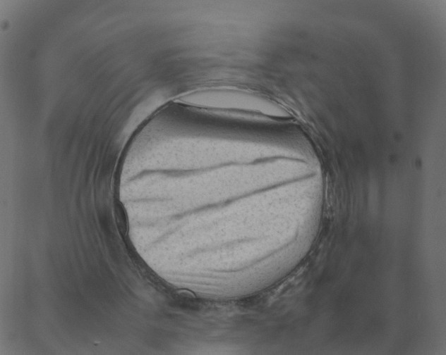 X0000087390099200705181317