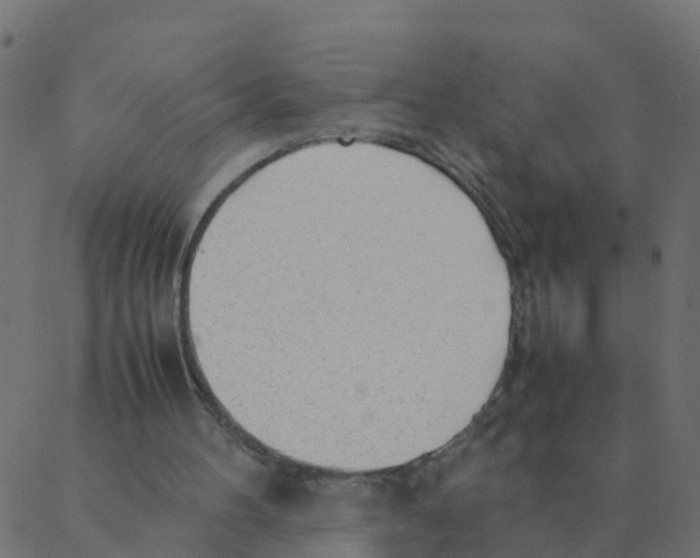 X0000087390100200705181317