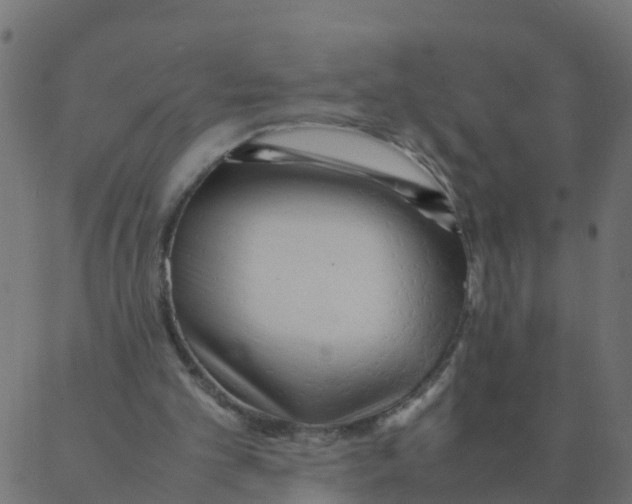 X0000087390101200705181317