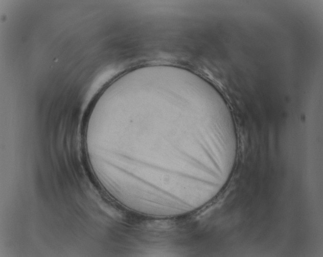 X0000087390102200705181317