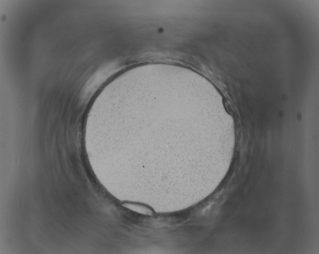 X0000087390103200705181317