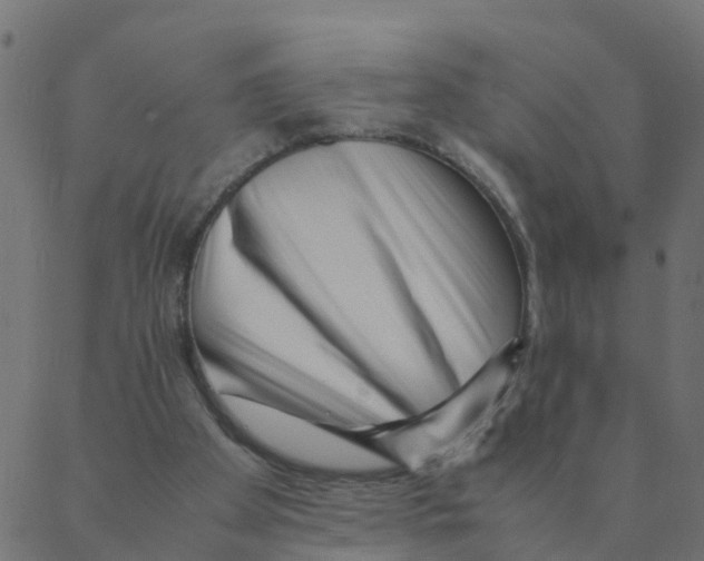 X0000087390105200705181317