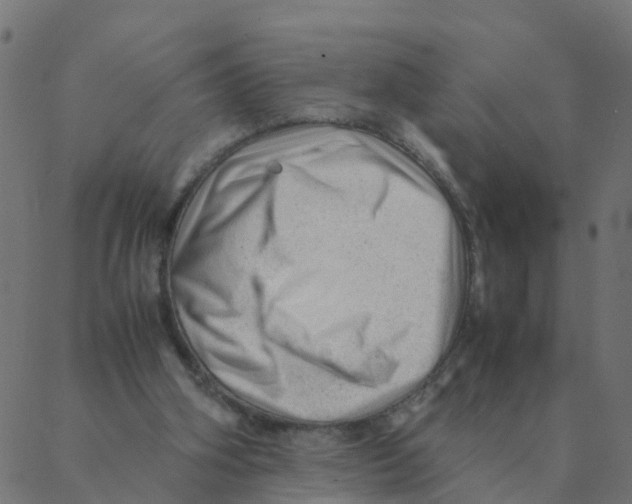 X0000087390106200705181317