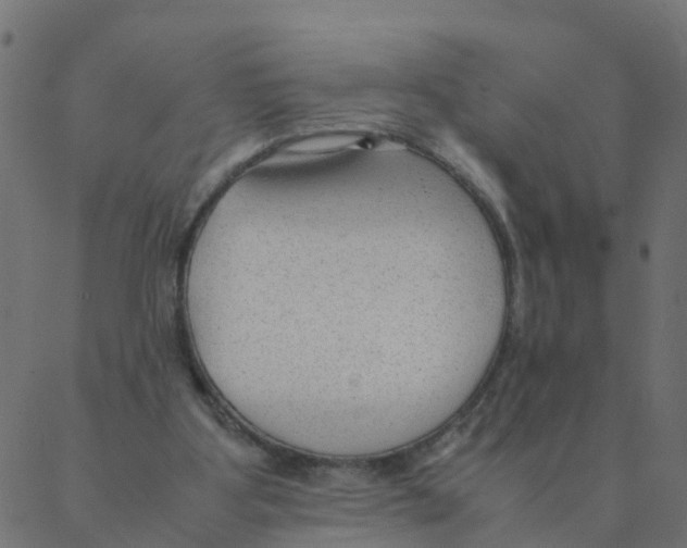 X0000087390107200705181317