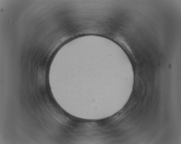 X0000087390108200705181317