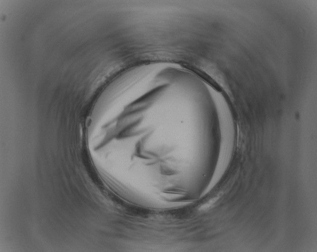 X0000087390109200705181317